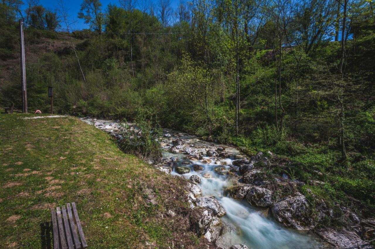 Ostello Altanon - Dolomiti Bellunesi Cesiomaggiore Eksteriør bilde